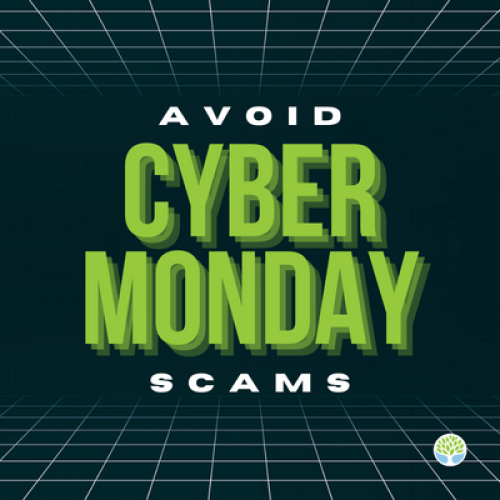 Cyber Scam Graphic