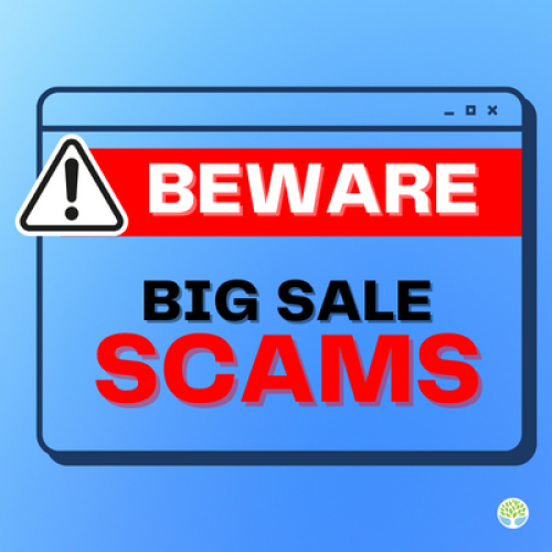 Prime Scams Graphic